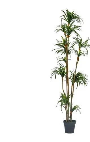 Dracaena Marginata - シミュレーションドラセナ ドラセナマリナータ グリーンプラント フェイクツリー 室内リビングルーム フロア盆栽
