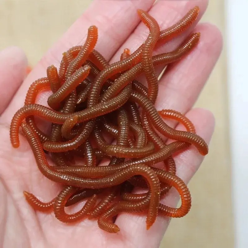 Aglaonema Red - リアルな魚の香りの赤いソフトルアー シミュレーションミミズ レッドワーム 人工釣りルアー ソフトベイト TPRルアー