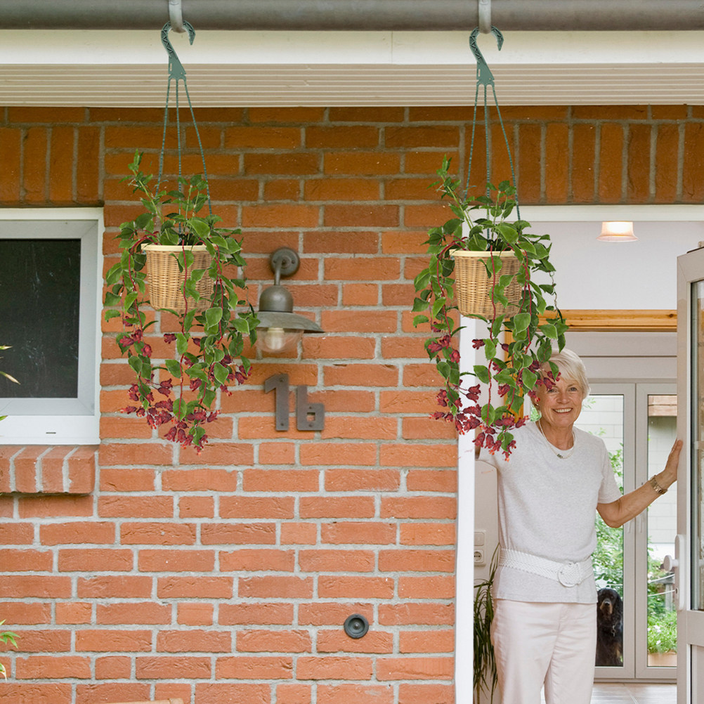 Spider Plant Hanging - 5個入り吊り下げプランターフック多用途 - 多肉植物、スパイダープランツ、バスケット、ランタン用の省スペース屋内植木鉢ハンガー