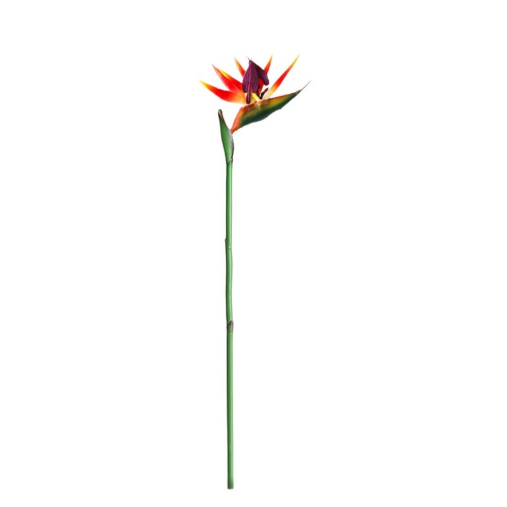 ロングステムの人工ストレリツィア（極楽鳥花）装飾用フェイクプ - Bird Paradise Strelitzia のレビューと価格