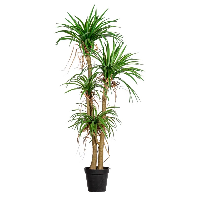 屋内外兼用 ホームツリー 模造ドラセナ・マルギナータ 人工観 - Dracaena Marginata のレビューと価格