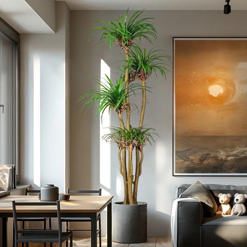 屋内外兼用 ホームツリー 模造ドラセナ・マルギナータ 人工観 - Dracaena Marginata のレビューと価格