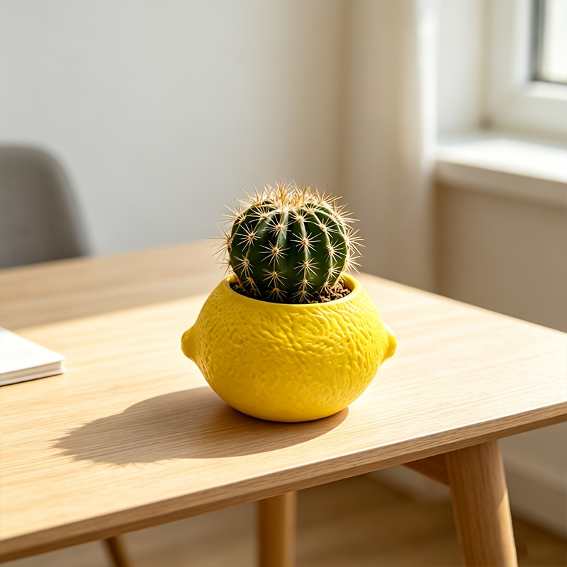 レモン型の装飾プランターポット、多肉植物やサボテンのミニプラ - Echeveria Succulent のレビューと価格