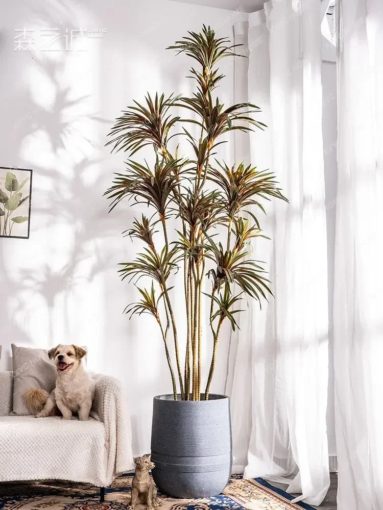 シミュレーションドラセナ ドラセナマリナータ グリーンプラン - Dracaena Marginata のレビューと価格