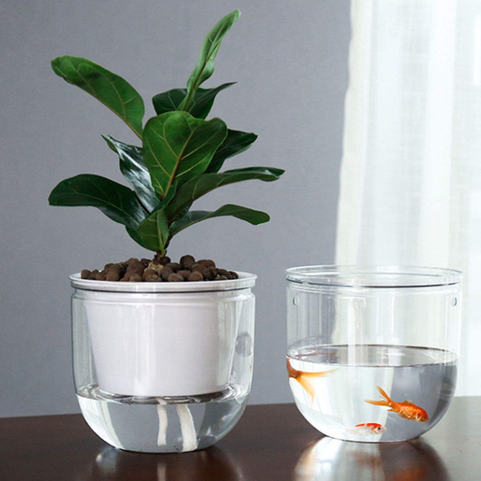自動給水植木鉢 透明吊り下げフラワーバスケット ポトス、スパ - Spider Plant Hanging のレビューと価格