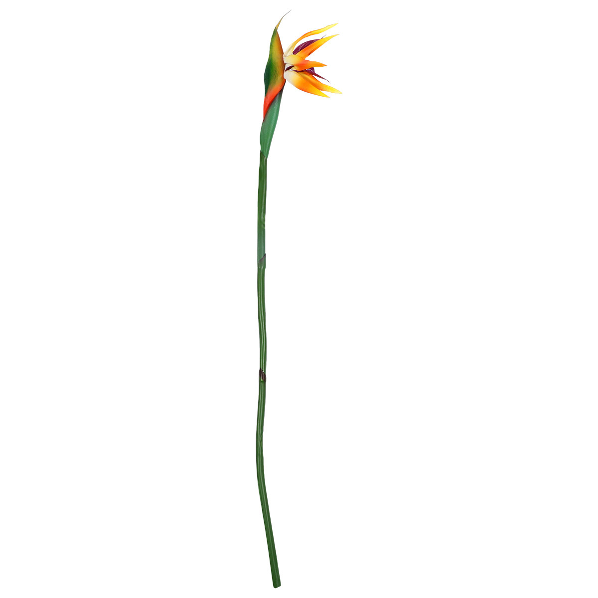 人工ストレリチアフラワー リアルタッチ バードオブパラダイス - Bird Paradise Strelitzia のレビューと価格