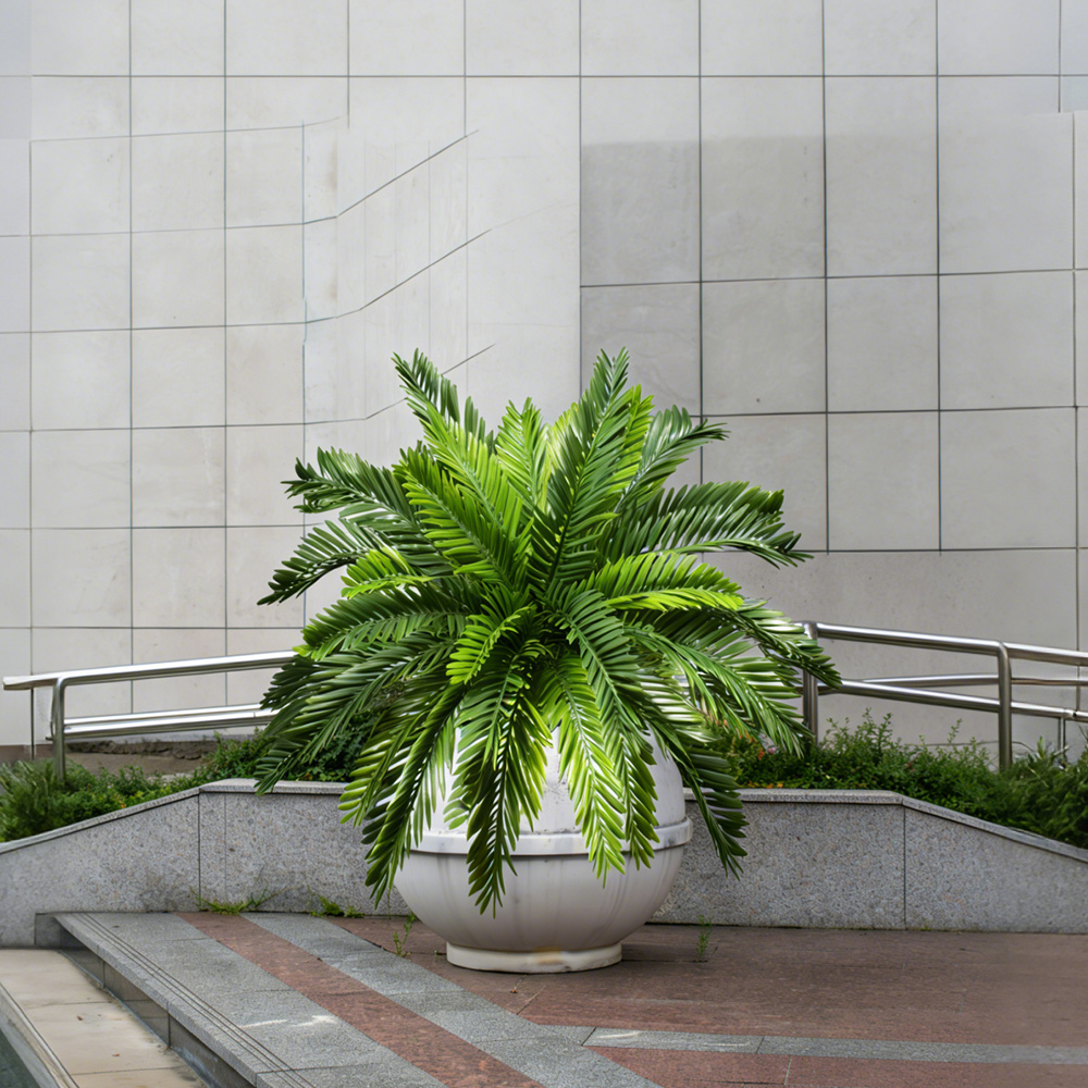 45cm人工ヤシの木、偽ココナッツツリー、トロピカルペルシャ - Dracaena Marginata のレビューと価格