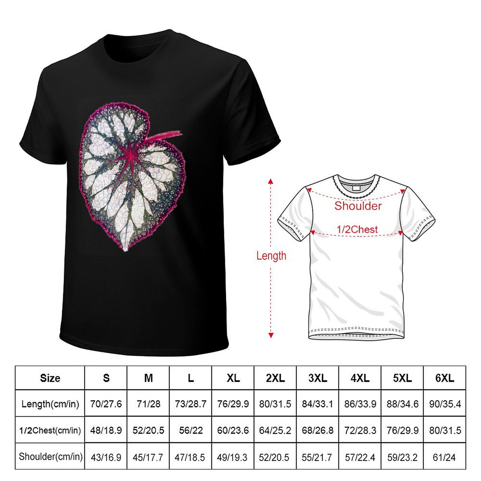 ベゴニアレックス Tシャツ ソフトストレッチ半袖トップス - Begonia Rex のレビューと価格