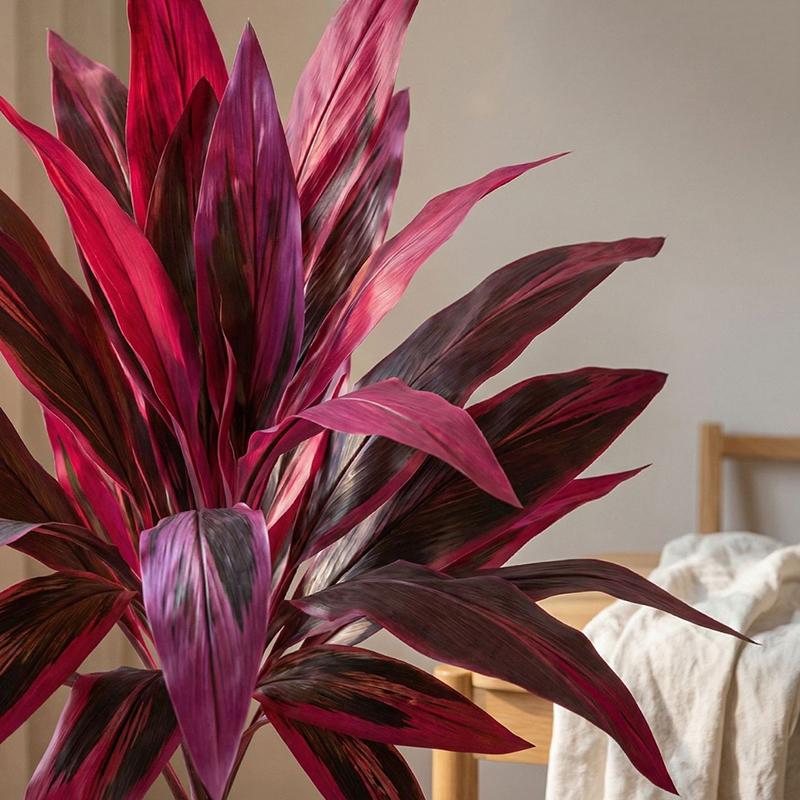 大型人工ドラセナ・マージナタの木 55cm 木製幹付きフェイ - Dracaena Marginata のレビューと価格
