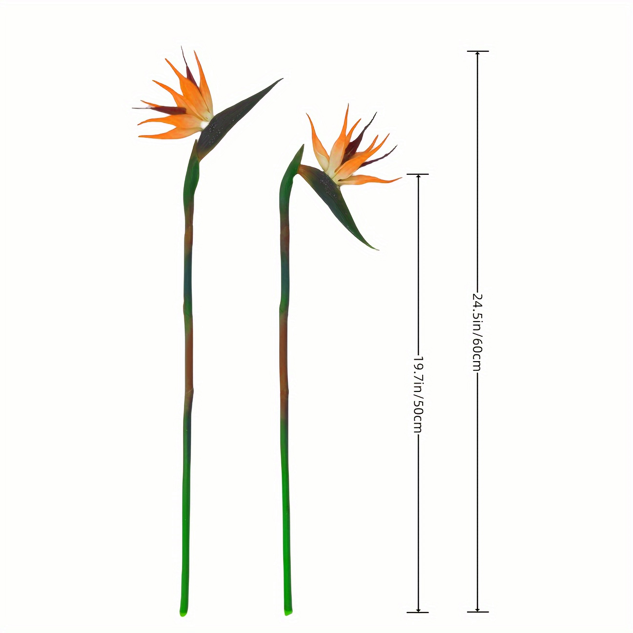 人工芝の花の人工鳥、輪ゴム、長い茎、DIY、家庭のパーティー - Bird Paradise Strelitzia のレビューと価格