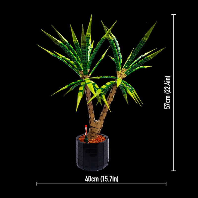 1961ピース MOC ドラセナ・マージナタ ドラゴンツリー - Dracaena Marginata のレビューと価格