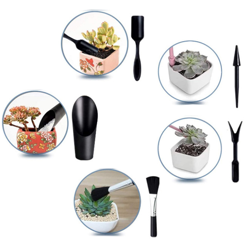 Tmz-ミニプラスチックガーデニングツールセット、園芸植物、 - Echeveria Succulent のレビューと価格