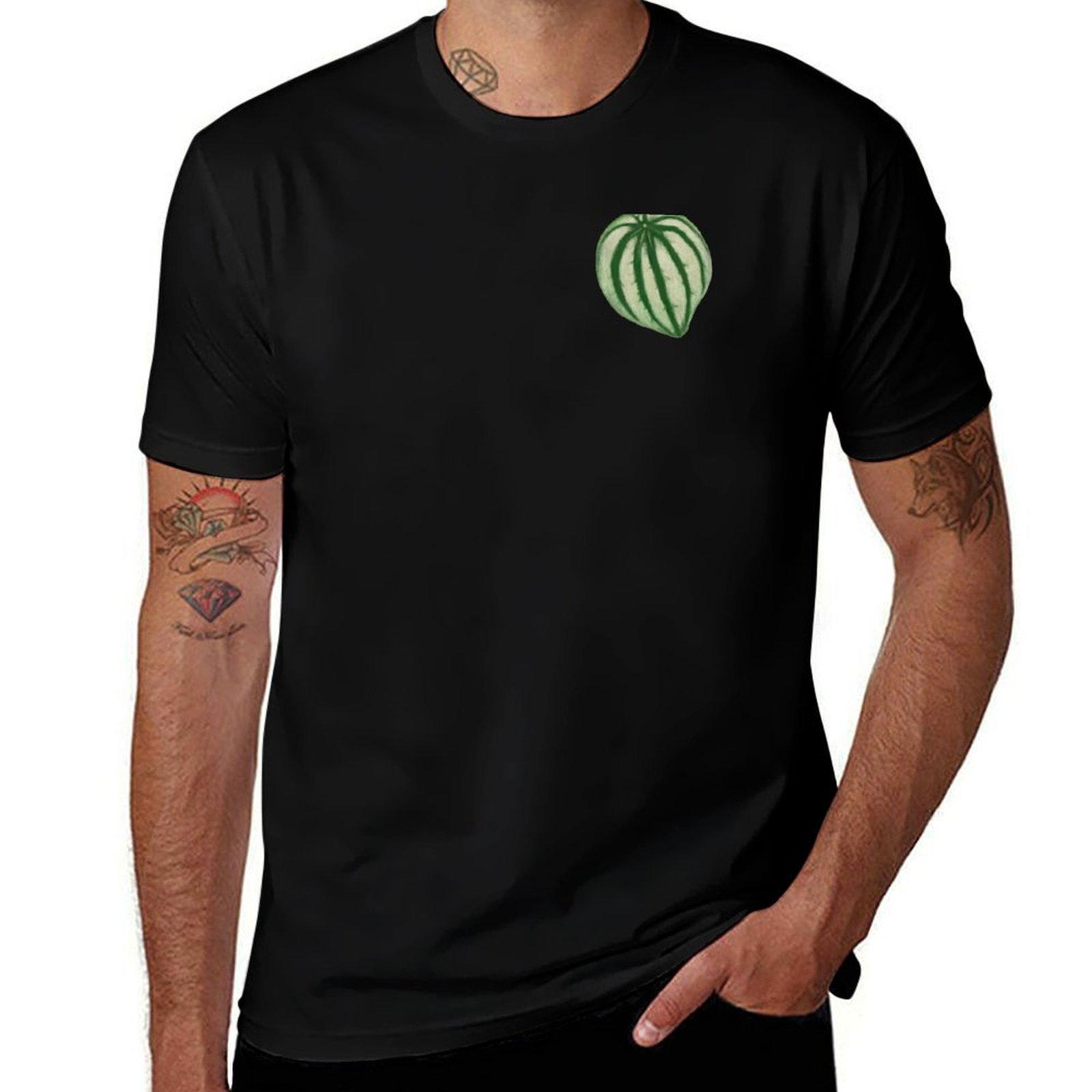スイカ ペペロミア Tシャツ カジュアル デイリー グラフィ - Peperomia Watermelon のレビューと価格