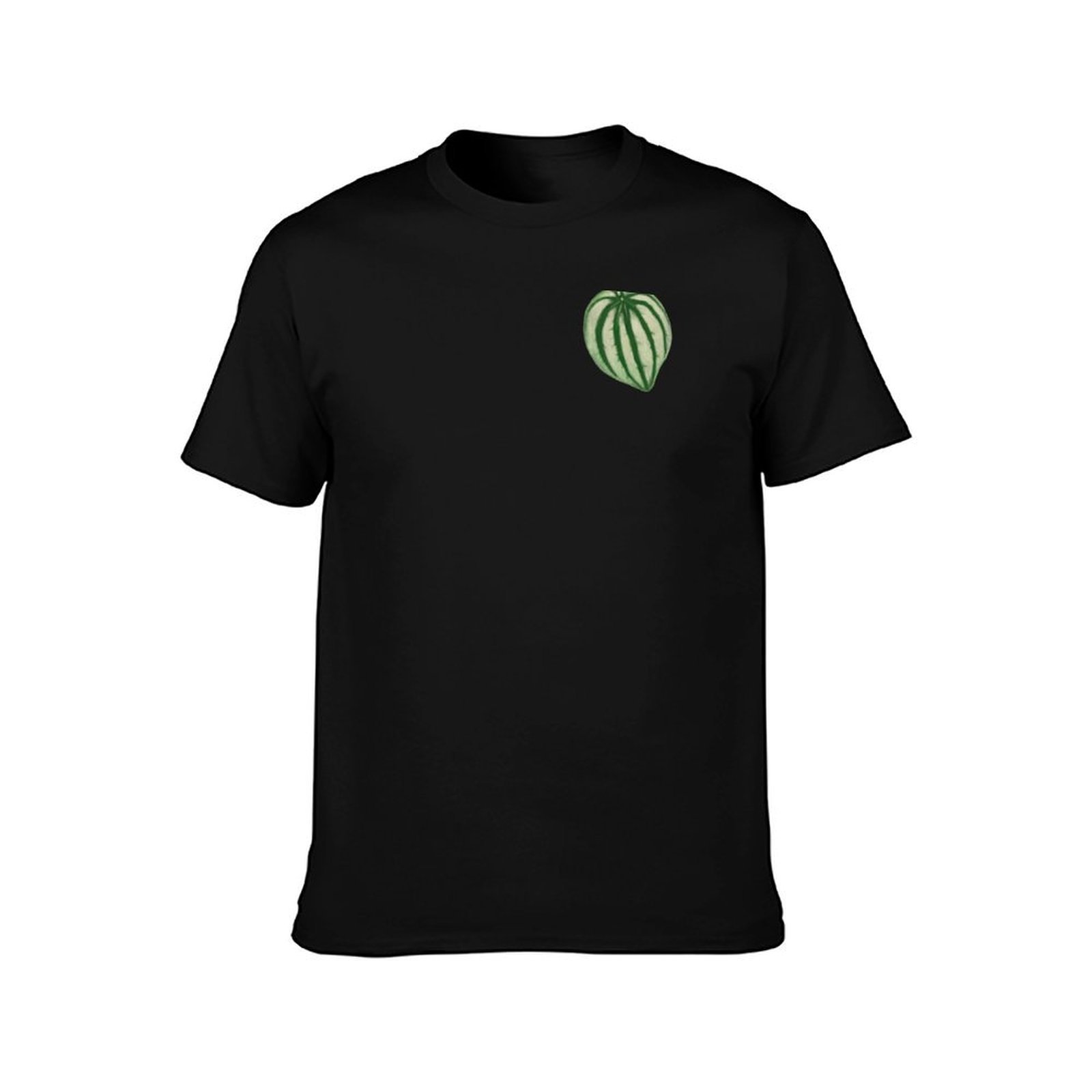 スイカ ペペロミア Tシャツ カジュアル デイリー グラフィ - Peperomia Watermelon のレビューと価格